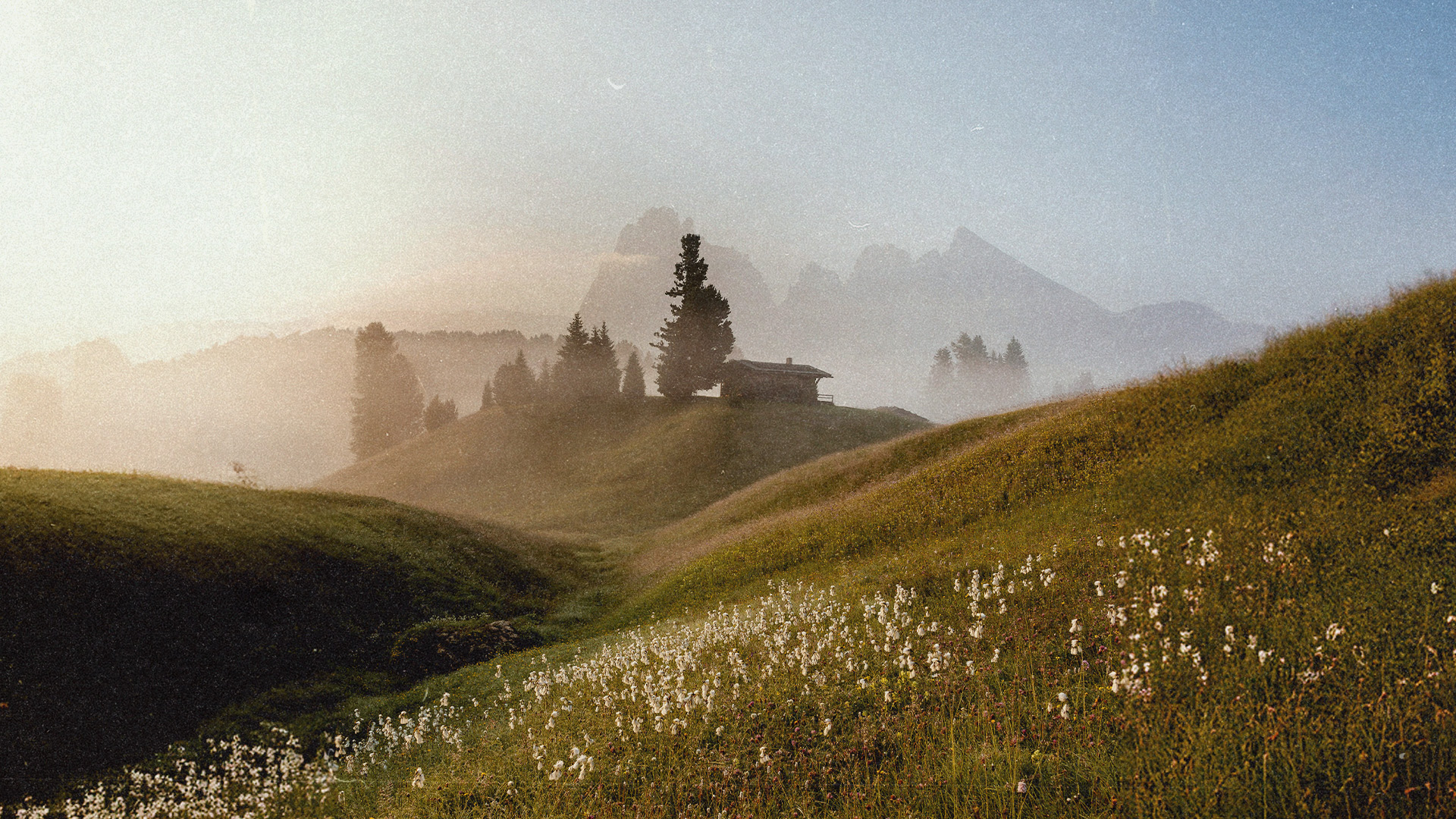 Easter-Finals-HD-Background-Only.jpg